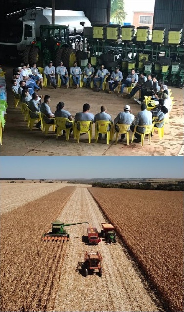 Grupo Michels no campo